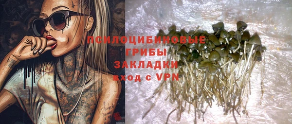 ПСИЛОЦИБИНОВЫЕ ГРИБЫ Армянск