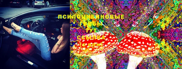 ПСИЛОЦИБИНОВЫЕ ГРИБЫ Армянск