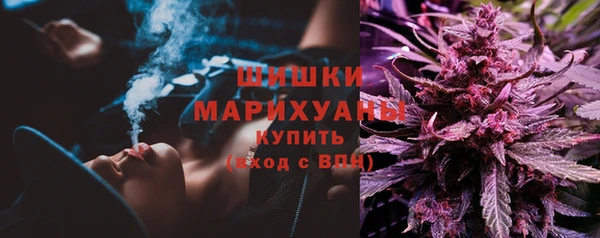 бошки Аркадак
