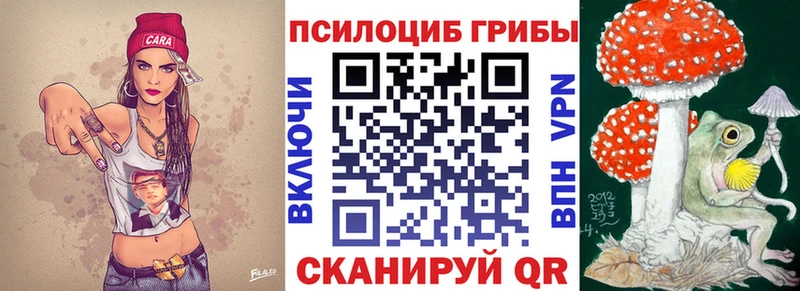 Галлюциногенные грибы ЛСД  даркнет сайт  Приозерск 